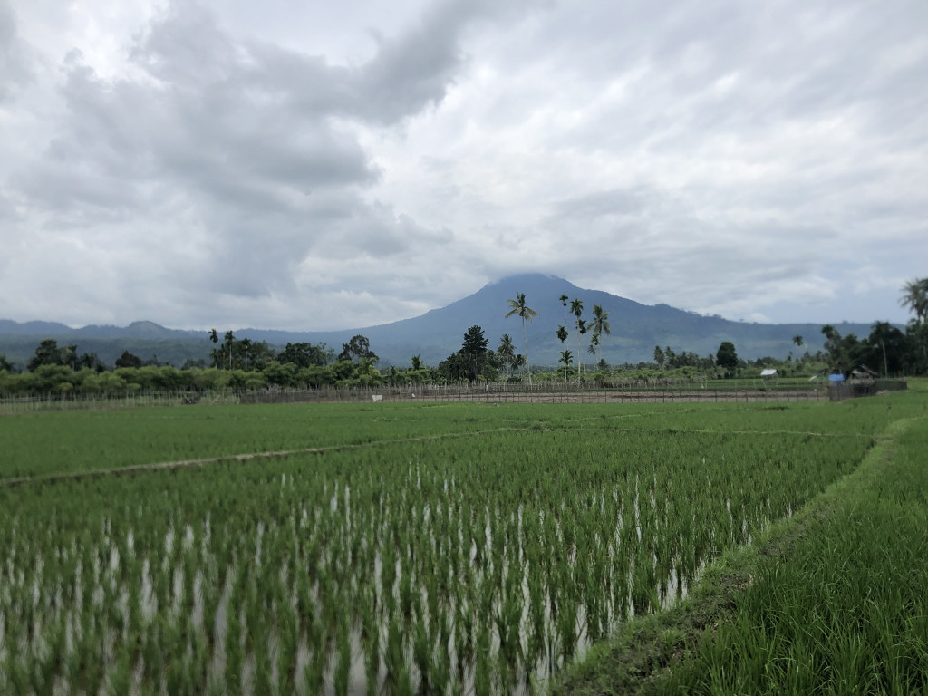 Pertanian adalah salah satu potensi dari desa Lam apeng, terutama persawahan.